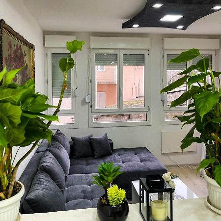 Apartment Tatjana Kragujevac Extérieur photo
