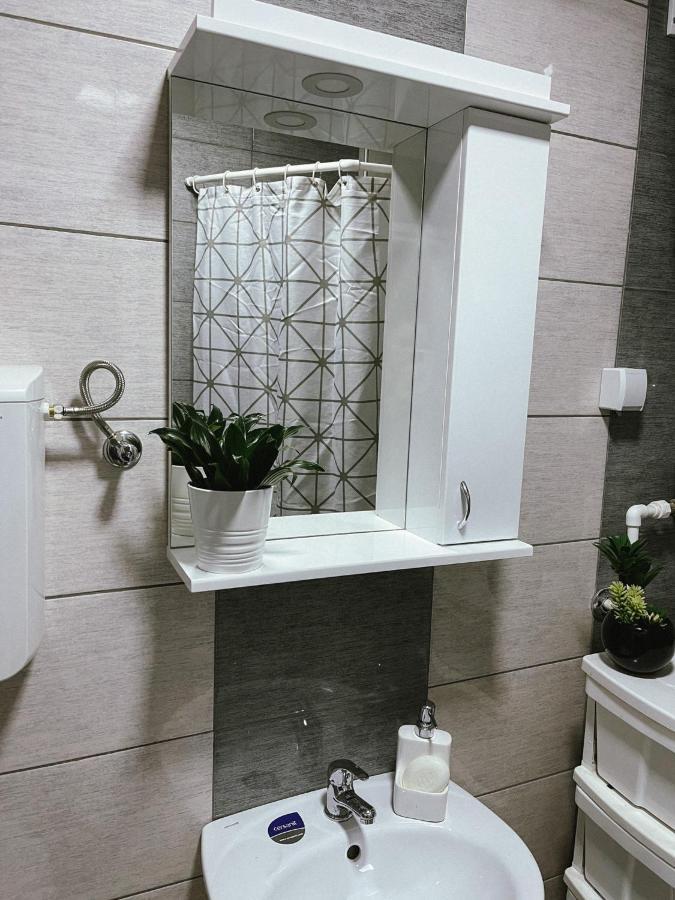 Apartment Tatjana Kragujevac Extérieur photo