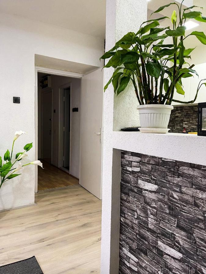 Apartment Tatjana Kragujevac Extérieur photo
